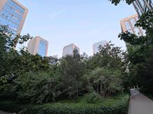 大興亦莊162㎡商鋪出租