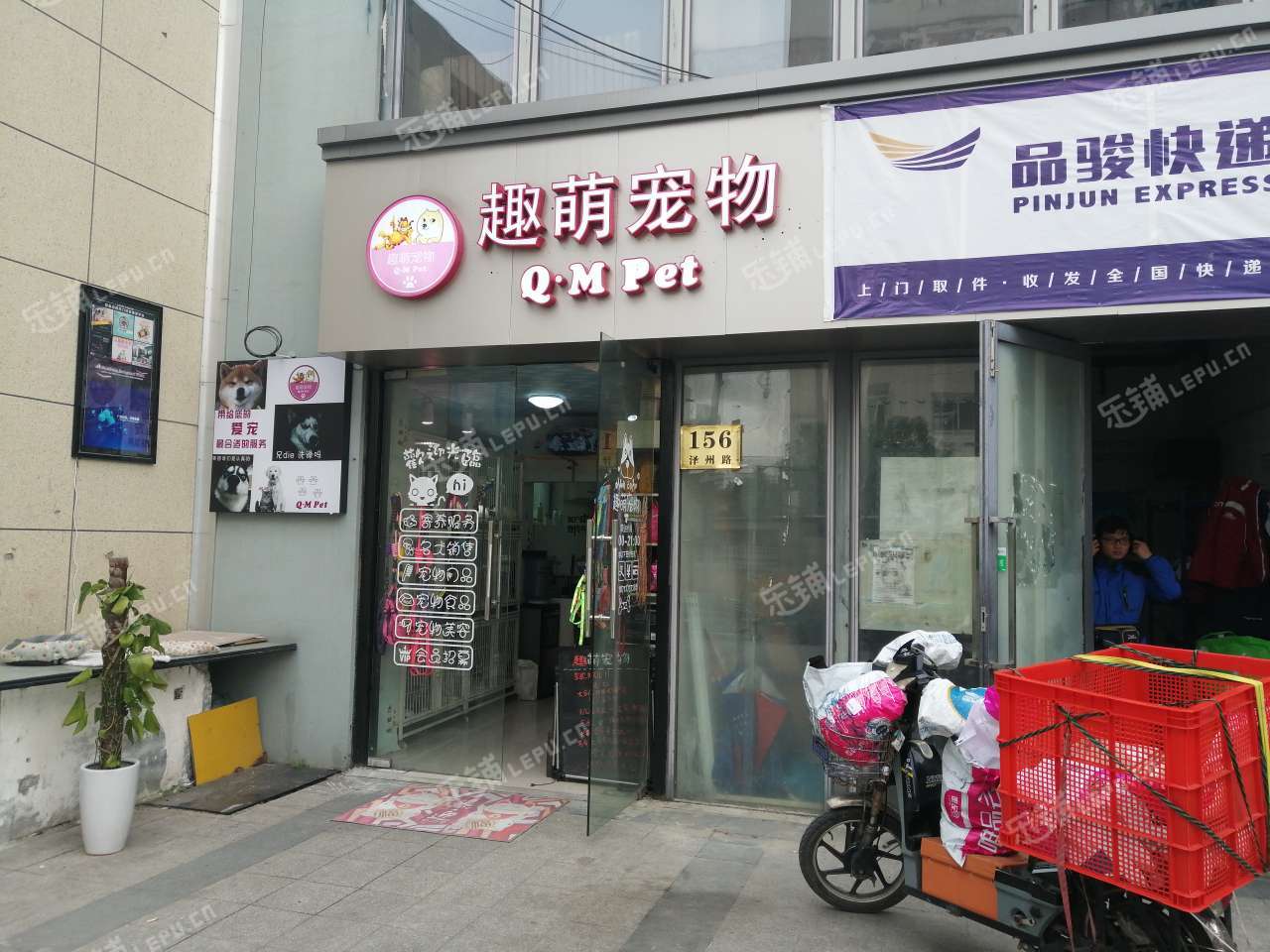 上海宠物店在哪里