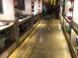燕郊京榆大街1800㎡家常菜馆转让，公司照可过户，可明火，可餐饮_图8