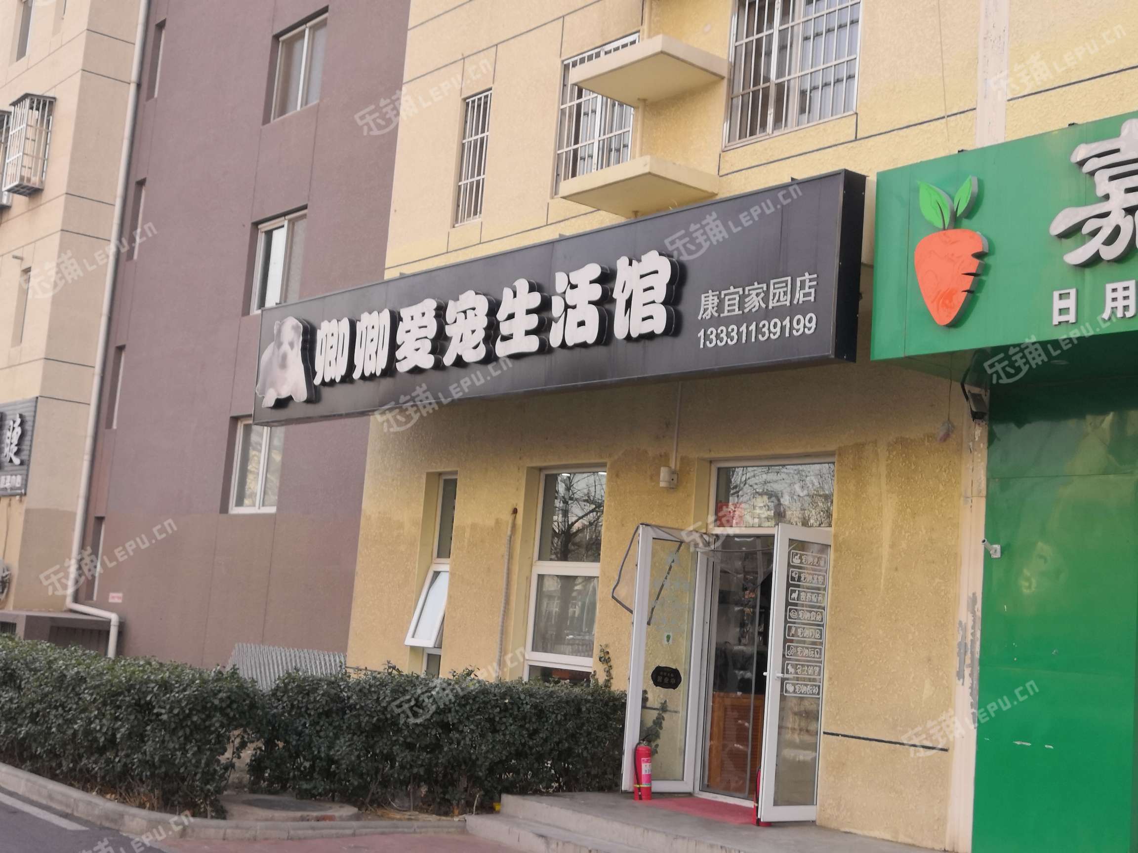 北京网上宠物店-北京网上宠物店哪家好